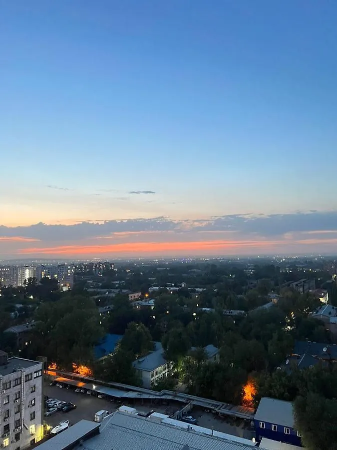 Your House In Almaty 0*,